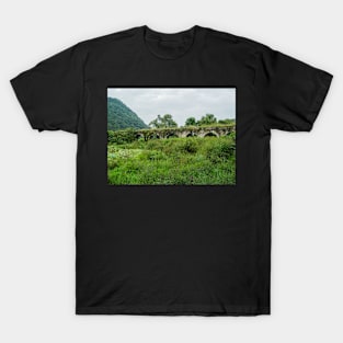 621 bridge in time T-Shirt